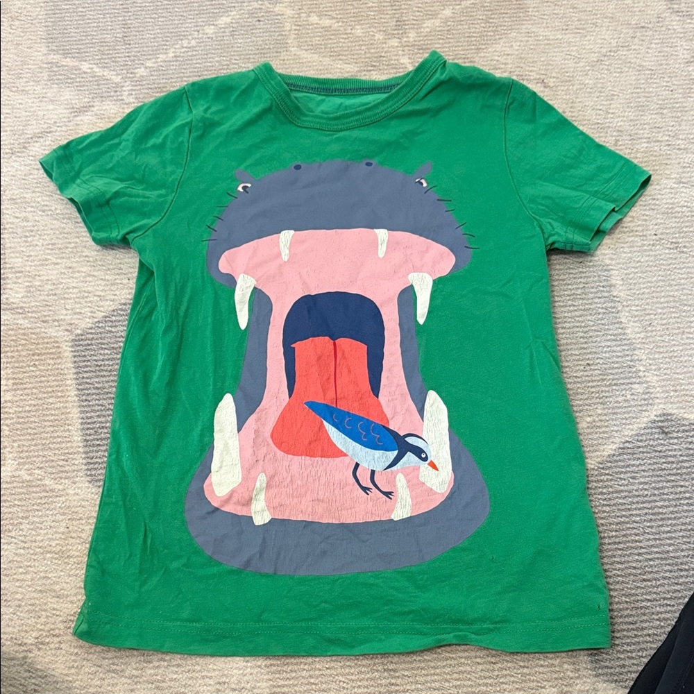 Boys t shirt